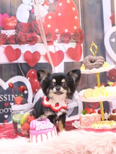 20250211るんちゃん